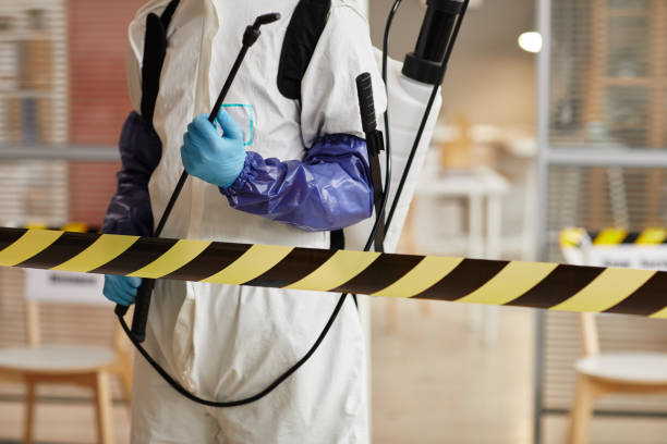 Professional Hoarding Cleanup technician working in Cayuga, IN
